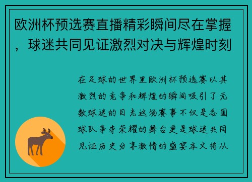 欧洲杯预选赛直播精彩瞬间尽在掌握，球迷共同见证激烈对决与辉煌时刻